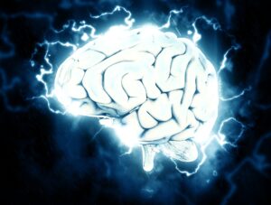 Brain 1845962 1920